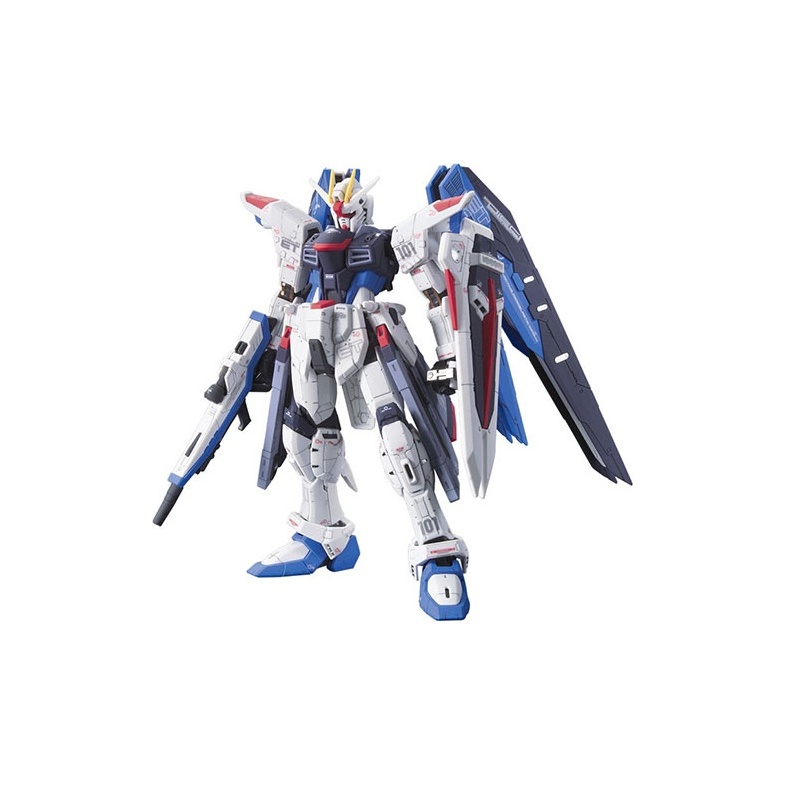 BANDAI Mobile Suit Gundam SEED - огляд і ціна Model Kit Rg