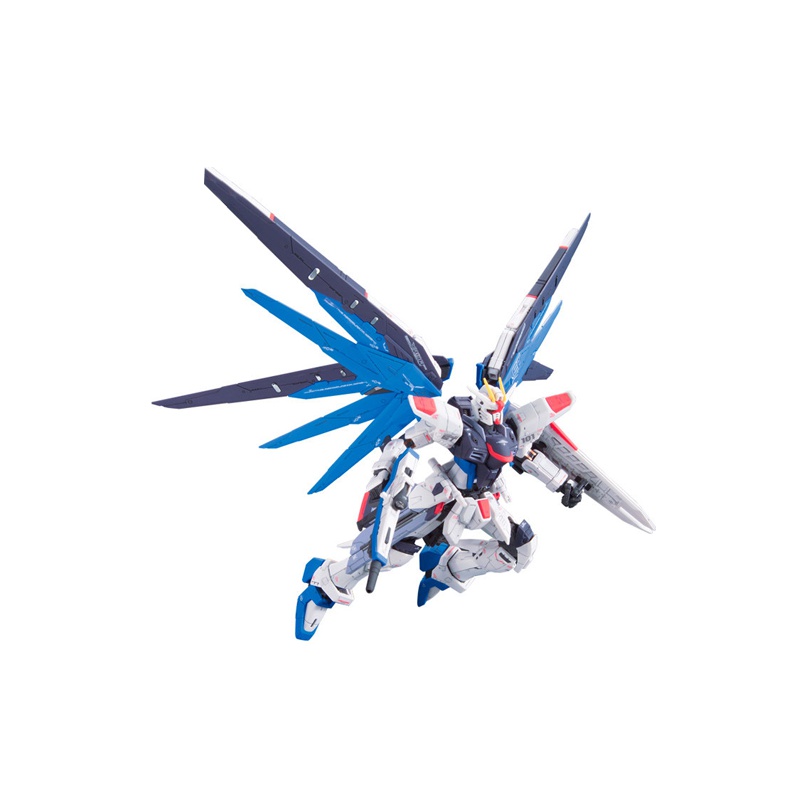 BANDAI Mobile Suit Gundam SEED - огляд і ціна Model Kit Rg